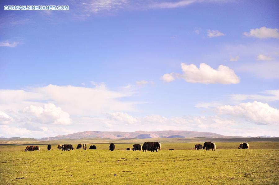 CHINA-TIBET-GREEN ENVIRONMENT (CN)