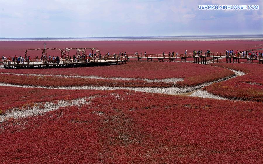 CHINA-LIAONING-RED BEACH (CN)