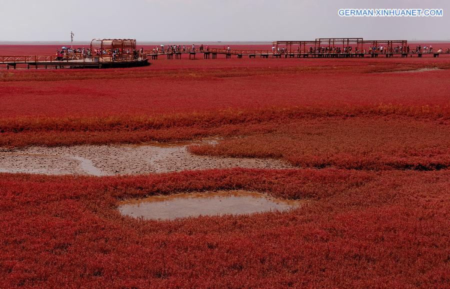 CHINA-LIAONING-RED BEACH (CN)