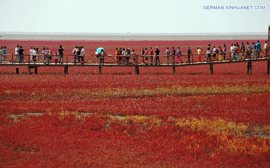 CHINA-LIAONING-RED BEACH (CN)