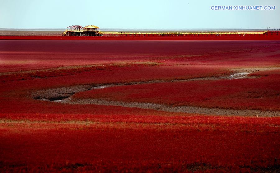 CHINA-LIAONING-RED BEACH (CN)