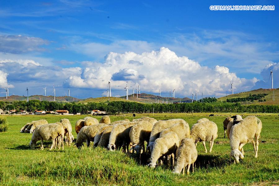 CHINA-HEBEI-WIND POWER PLANT (CN)