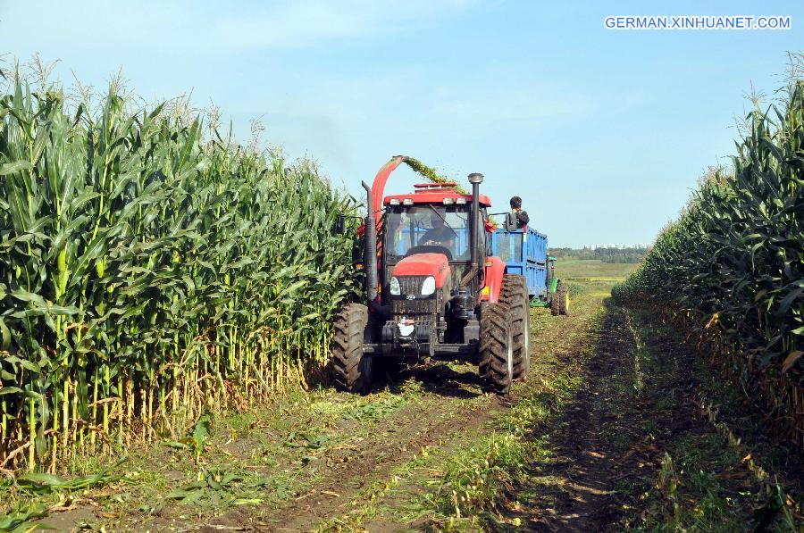 #CHINA-AUTUMN HARVEST-APPROACH (CN)