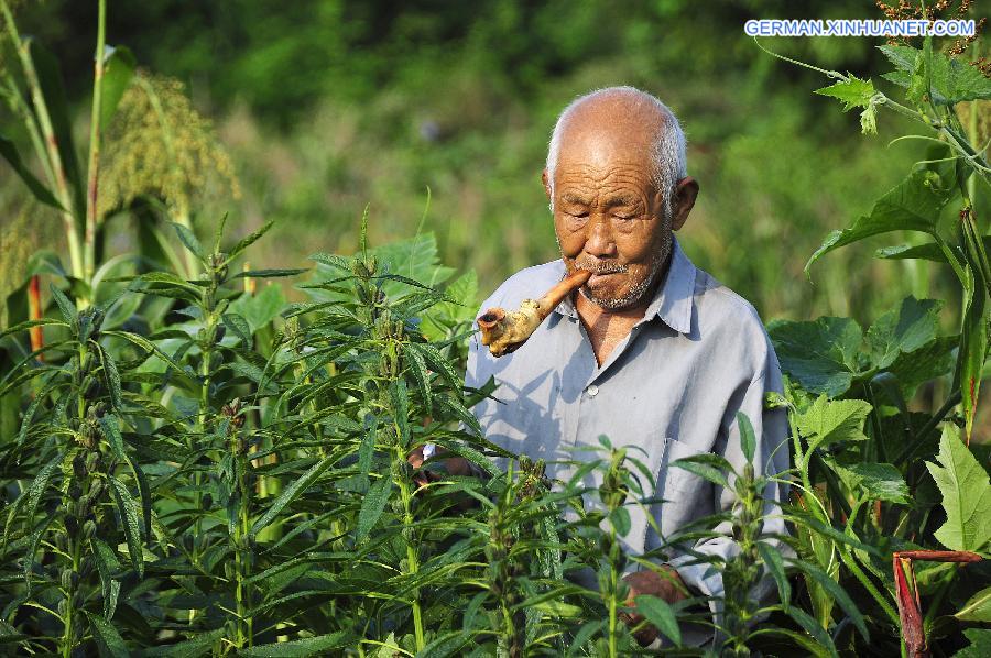 #CHINA-AUTUMN HARVEST-APPROACH (CN)