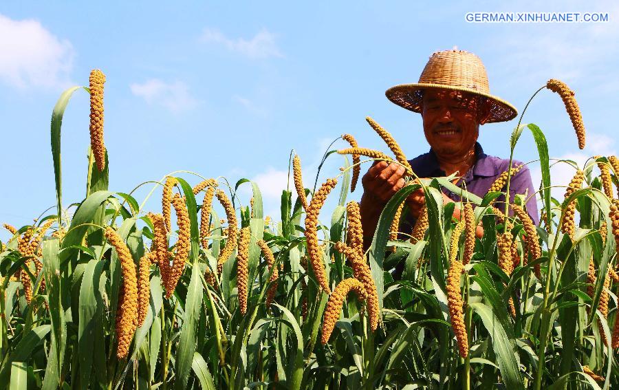 #CHINA-AUTUMN HARVEST-APPROACH (CN)