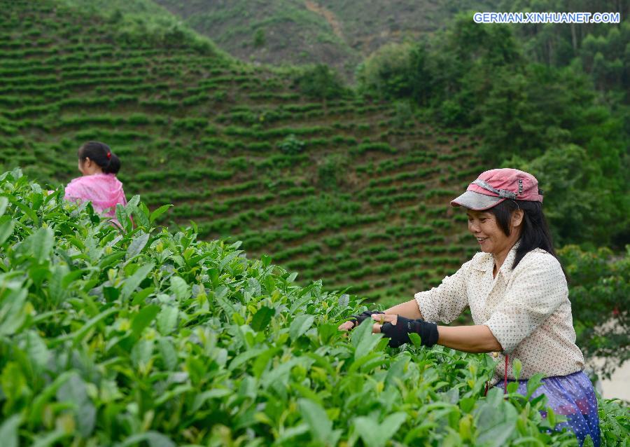 #CHINA-AUTUMN HARVEST-APPROACH (CN)