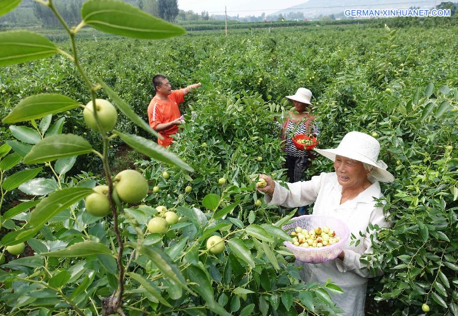 #CHINA-AUTUMN HARVEST-APPROACH (CN)