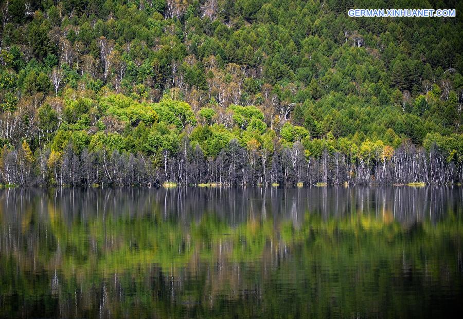 CHINA-INNER MONGOLIA-ARXAN-AUTUMN SCENERY (CN)