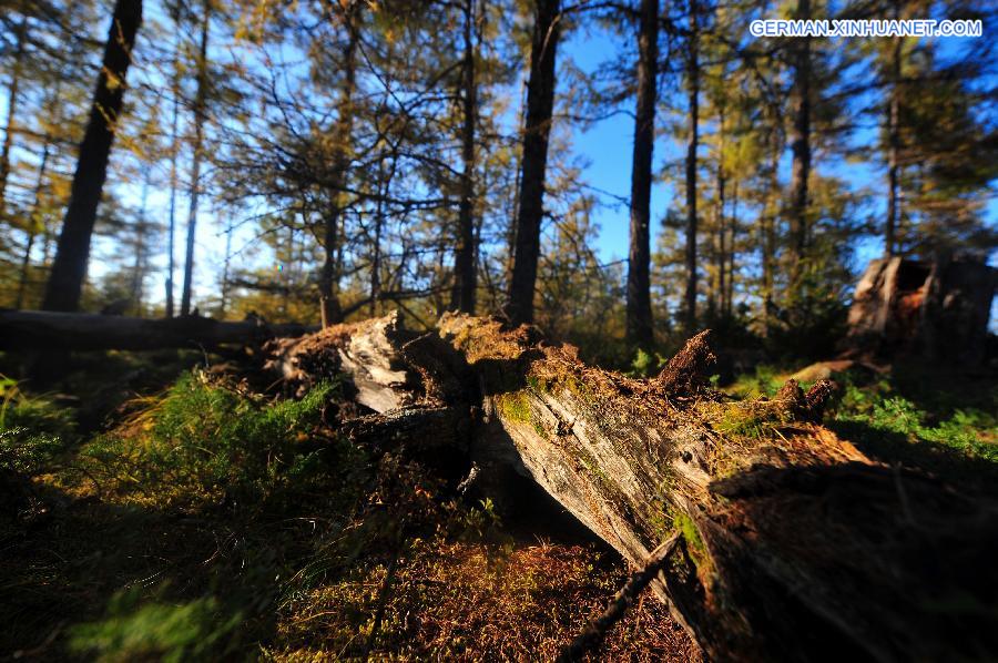 CHINA-INNER MONGOLIA-ARXAN-AUTUMN SCENERY (CN)