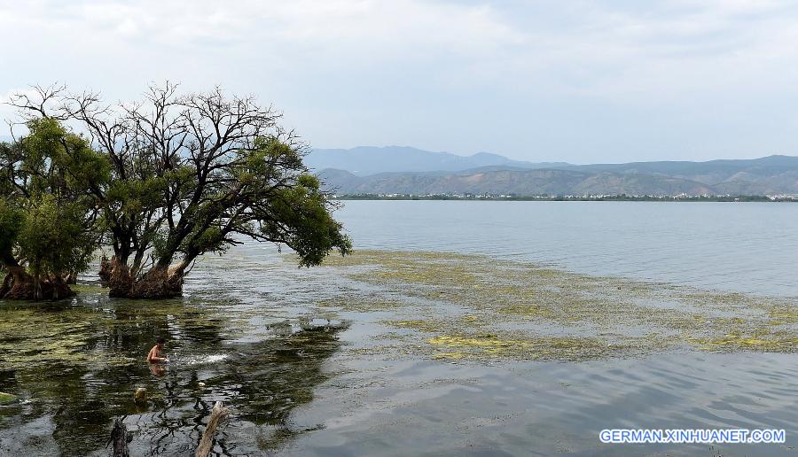 CHINA-YUNNAN-ERHAI LAKE-PROTECTION (CN)