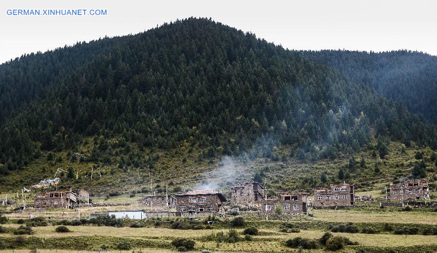 CHINA-QINGHAI-FOREST (CN)