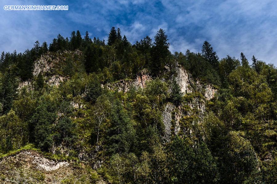 CHINA-QINGHAI-FOREST (CN)