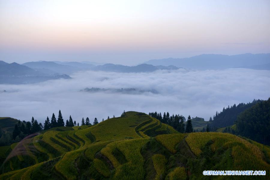 CHINA-GUIZHOU-YUELIANG MOUNTAIN-SCENERY (CN)