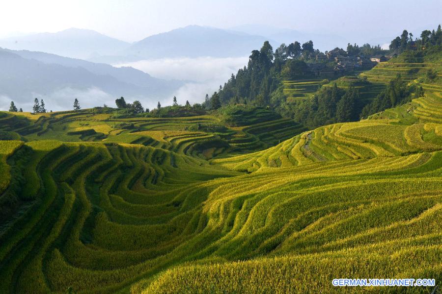 CHINA-GUIZHOU-YUELIANG MOUNTAIN-SCENERY (CN)