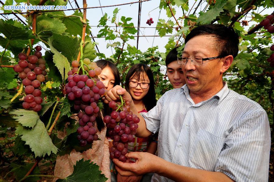 #CHINA-SHENYANG-CAMPUS FARM-GRAPE (CN)