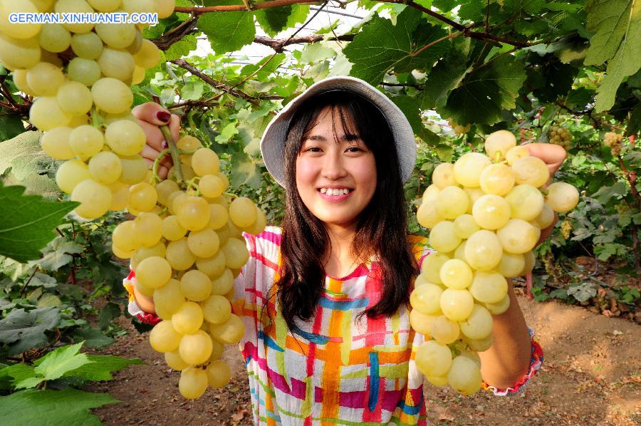 #CHINA-SHENYANG-CAMPUS FARM-GRAPE (CN)