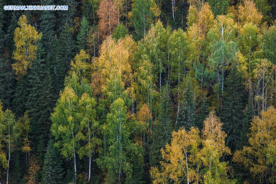 CHINA-KANAS-AUTUMN SCENERY (CN)