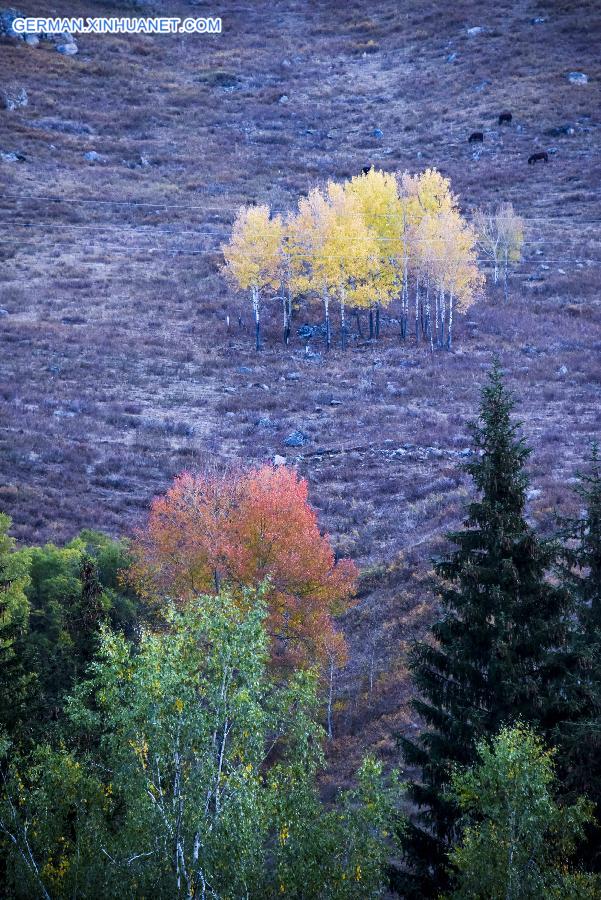 CHINA-KANAS-AUTUMN SCENERY (CN)