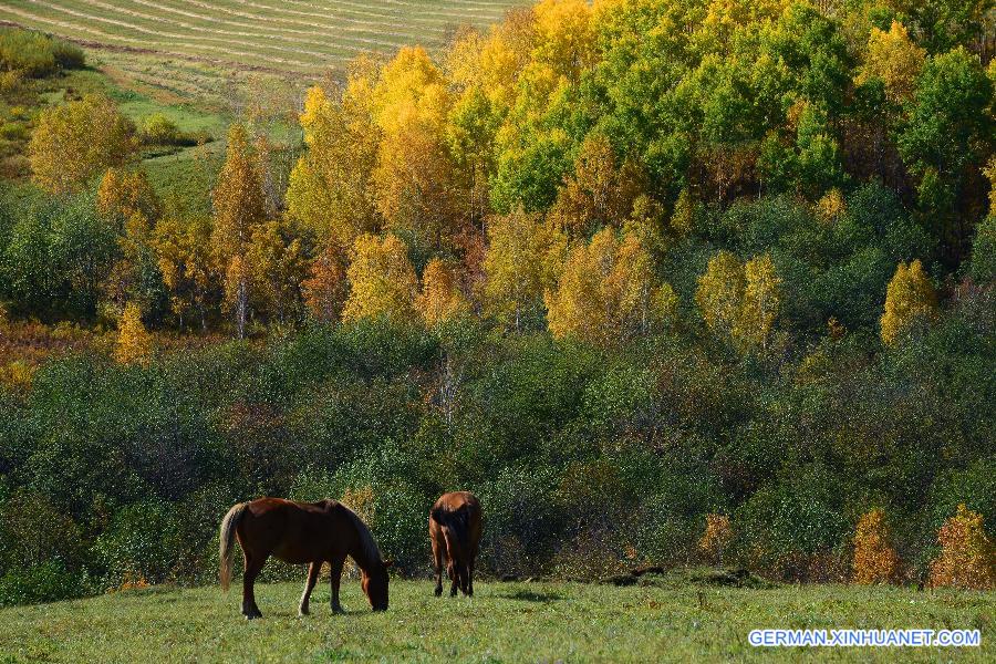 #CHINA-INNER MONGOLIA-ERGUN-SCENERY (CN)