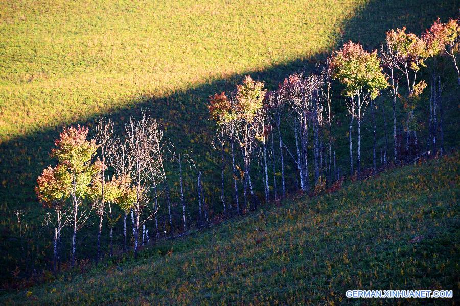 #CHINA-INNER MONGOLIA-ERGUN-SCENERY (CN)