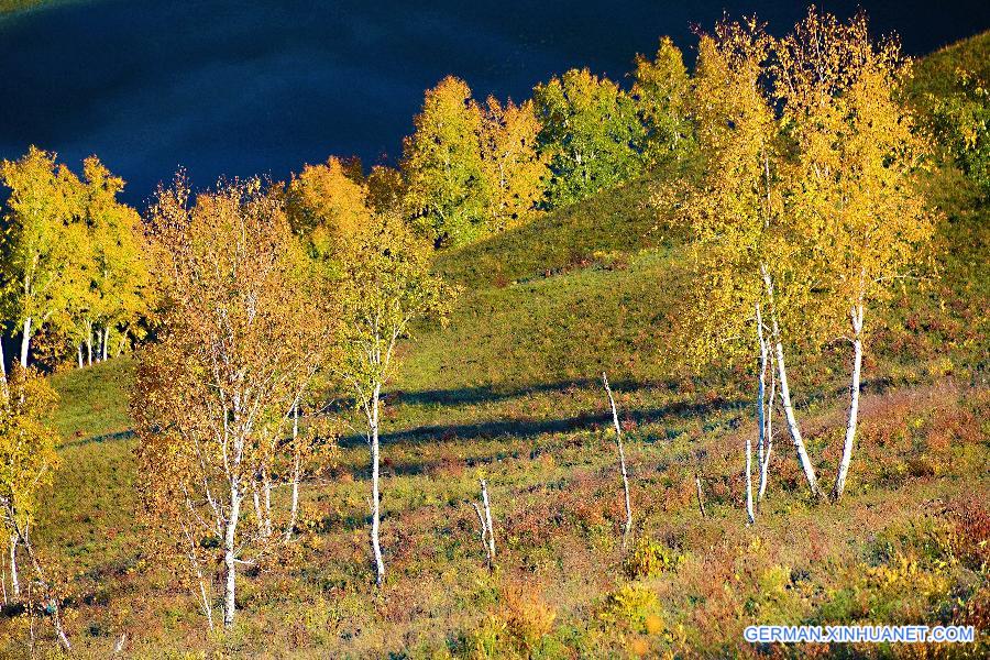 #CHINA-INNER MONGOLIA-ERGUN-SCENERY (CN)