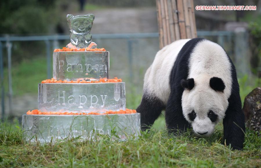 CHINA-SICHUAN-GIANT PANDA-BIRTHDAY (CN)