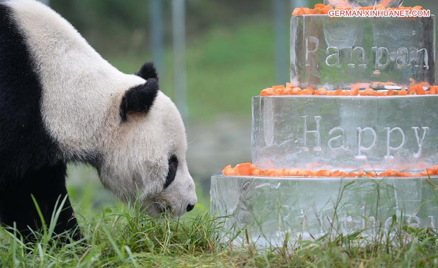 CHINA-SICHUAN-GIANT PANDA-BIRTHDAY (CN)