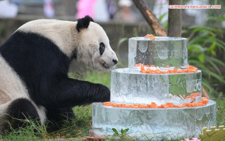 CHINA-SICHUAN-GIANT PANDA-BIRTHDAY (CN)