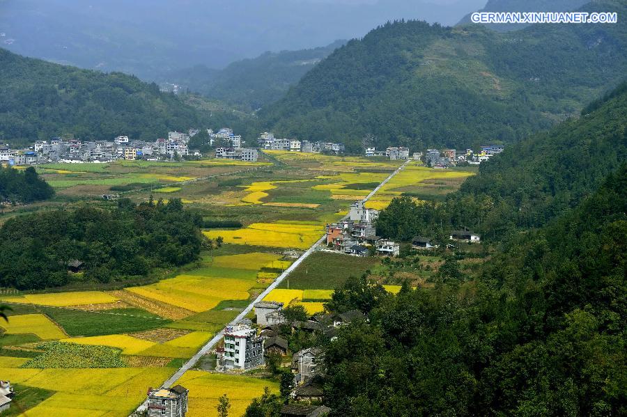 #CHINA-HUBEI-ENSHI-GOLDEN FIELDS (CN)