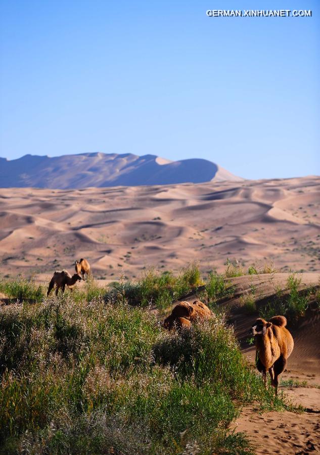 CHINA-INNER MONGOLIA-BADAIN JARAN DESERT (CN)