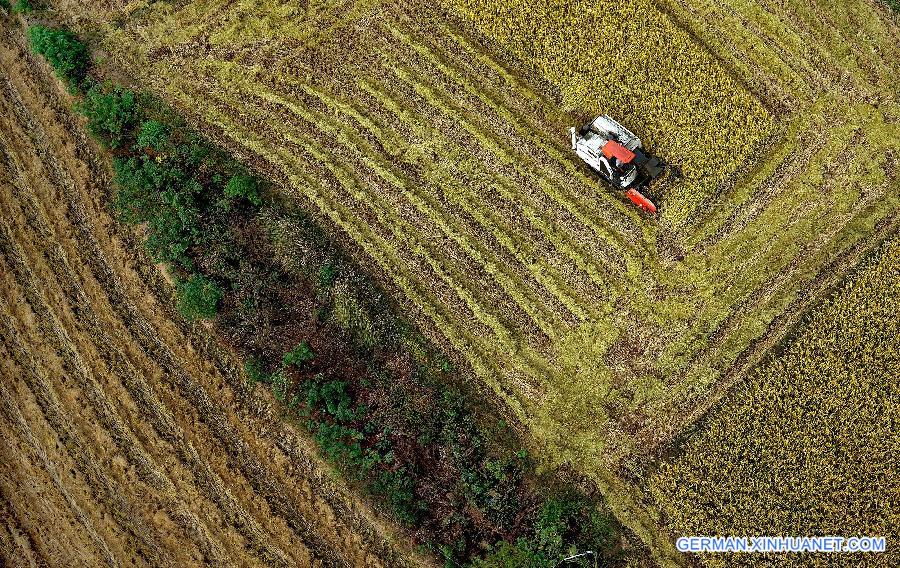 CHINA-FEIXI-SCENERY(CN)