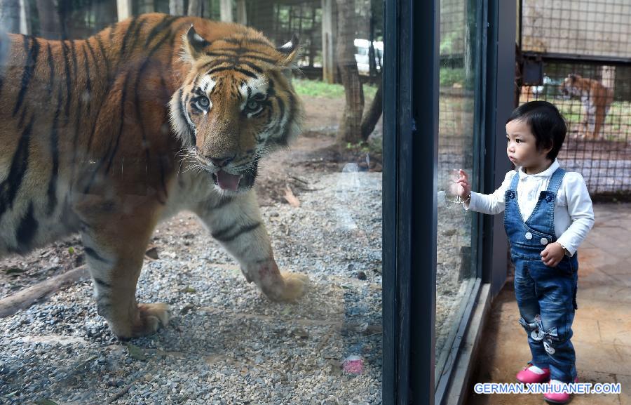 CHINA-YUNNAN-WILD ANIMAL PARK-GLAZED PASSAGE (CN)