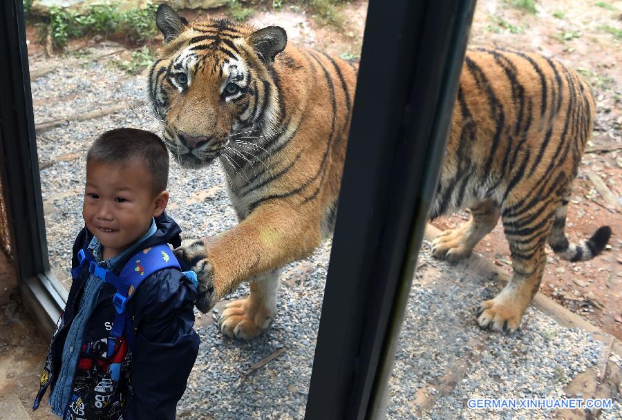 CHINA-YUNNAN-WILD ANIMAL PARK-GLAZED PASSAGE (CN)