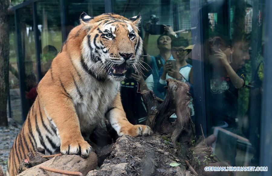 CHINA-YUNNAN-WILD ANIMAL PARK-GLAZED PASSAGE (CN)