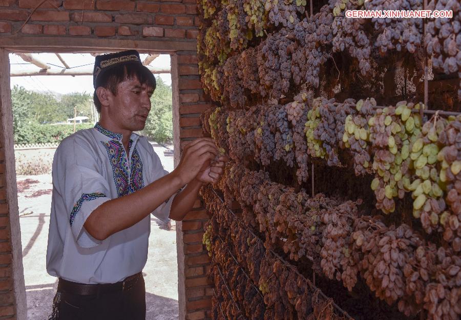 CHINA-XINJIANG-TURPAN-GRAPE-LIFE (CN)