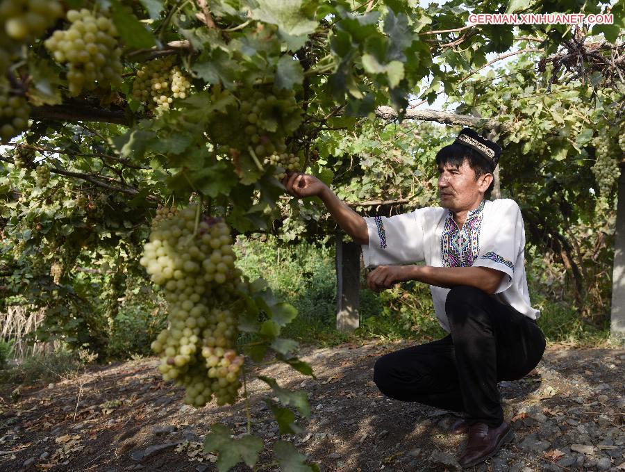 CHINA-XINJIANG-TURPAN-GRAPE-LIFE (CN)