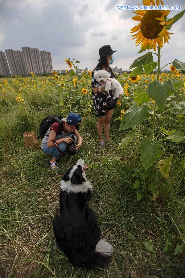 #CHINA-JIANGSU-NANTONG-PET PHOTOGRAPHERS (CN)