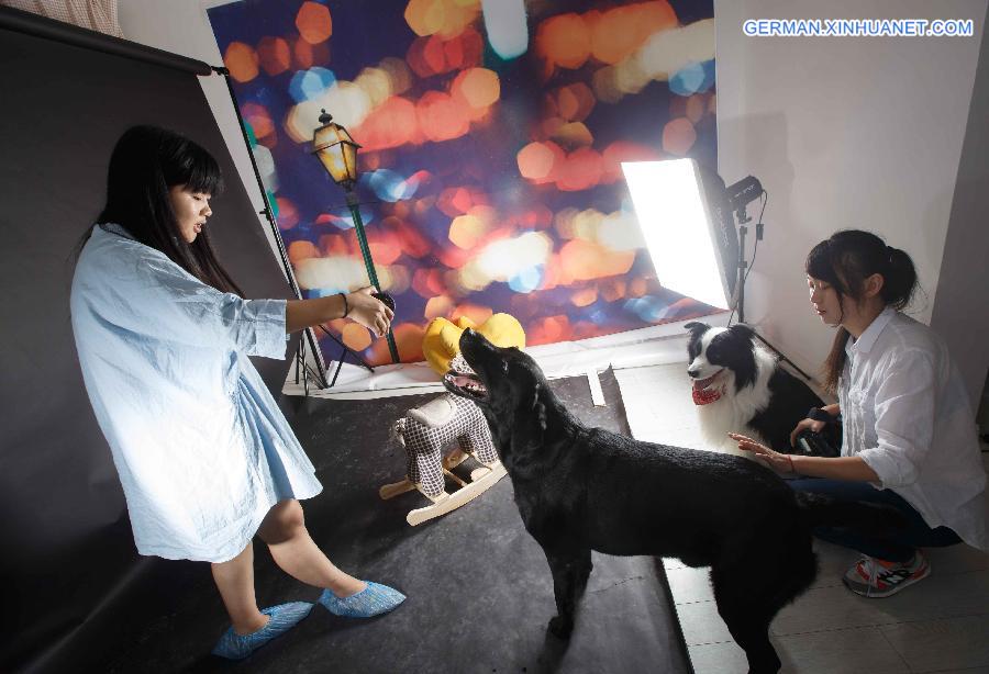 #CHINA-JIANGSU-NANTONG-PET PHOTOGRAPHERS (CN)