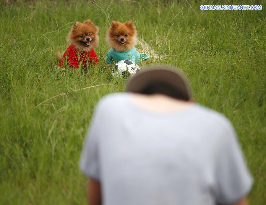 #CHINA-JIANGSU-NANTONG-PET PHOTOGRAPHERS (CN)