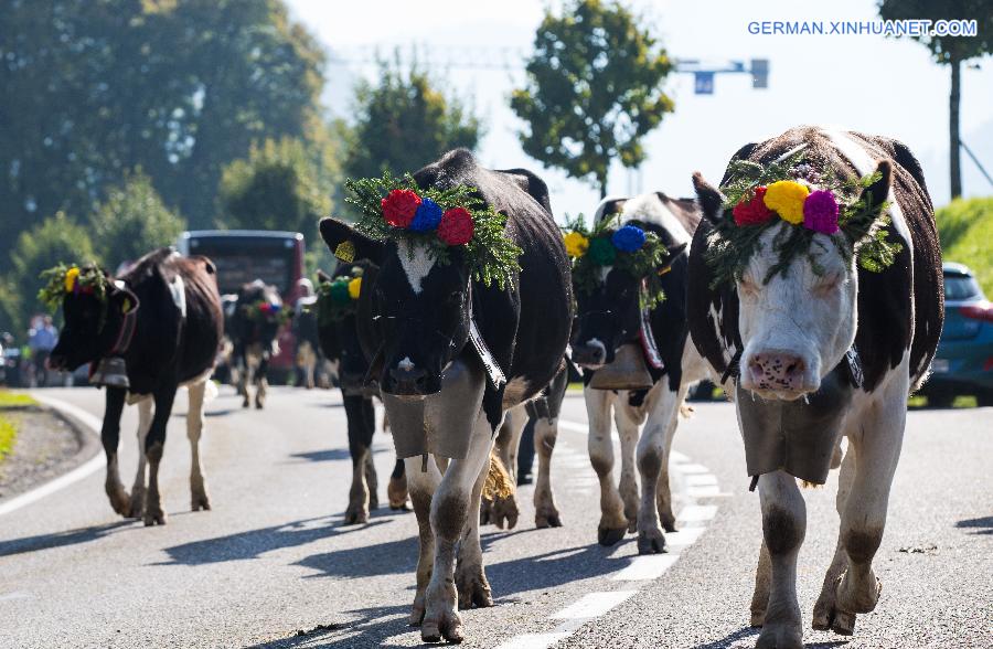 SWITZERLAND-CHARMEY-DESALPE-FESTIVAL