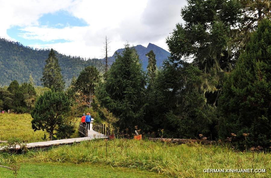 CHINA-TIBET-NYINCHI-FOREST COVERAGE (CN)