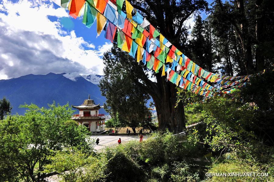 CHINA-TIBET-NYINCHI-FOREST COVERAGE (CN)