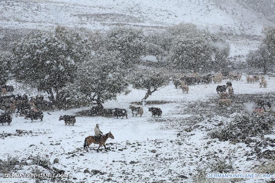 #CHINA-XINJIANG-SNOWFALL (CN)