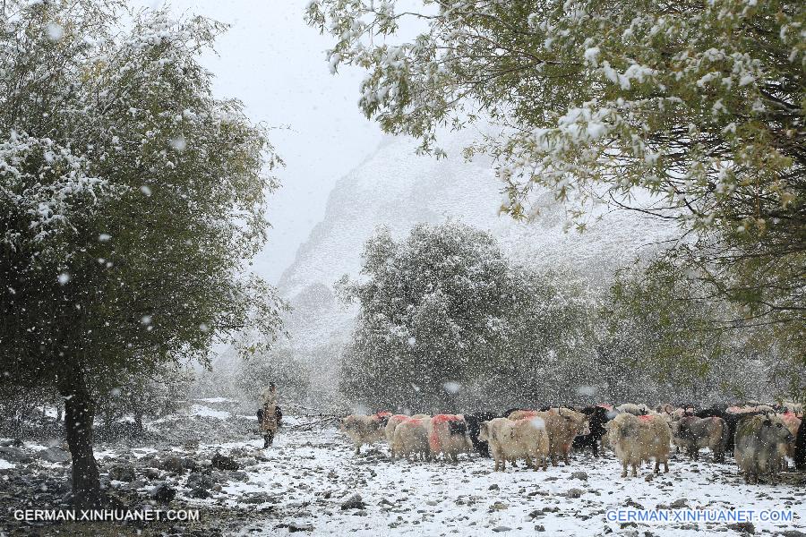 #CHINA-XINJIANG-SNOWFALL (CN)