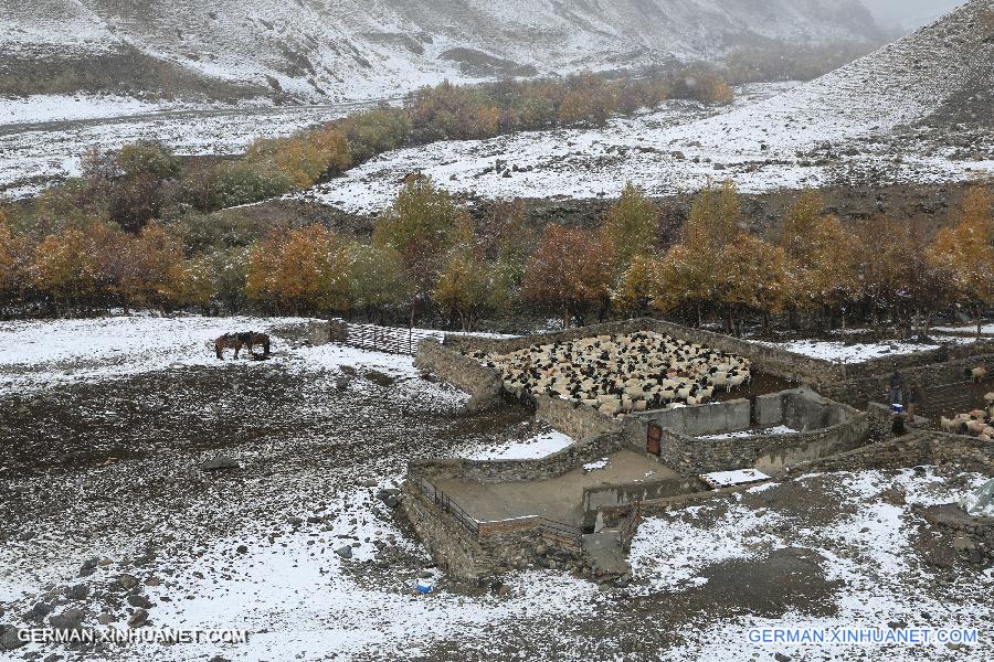 #CHINA-XINJIANG-SNOWFALL (CN)