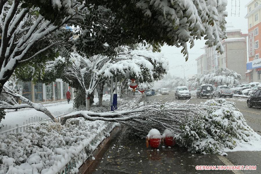 #CHINA-XINJIANG-HAMI-SNOW(CN)