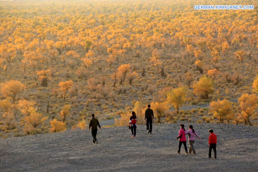 #CHINA-XINJIANG-SCENERY-POPULUS DIVERSIFOLIA TREE (CN)