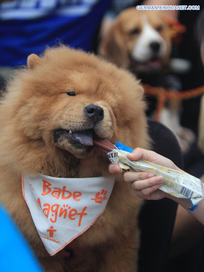 PHILIPPINES-QUEZON CITY-WORLD ANIMAL DAY