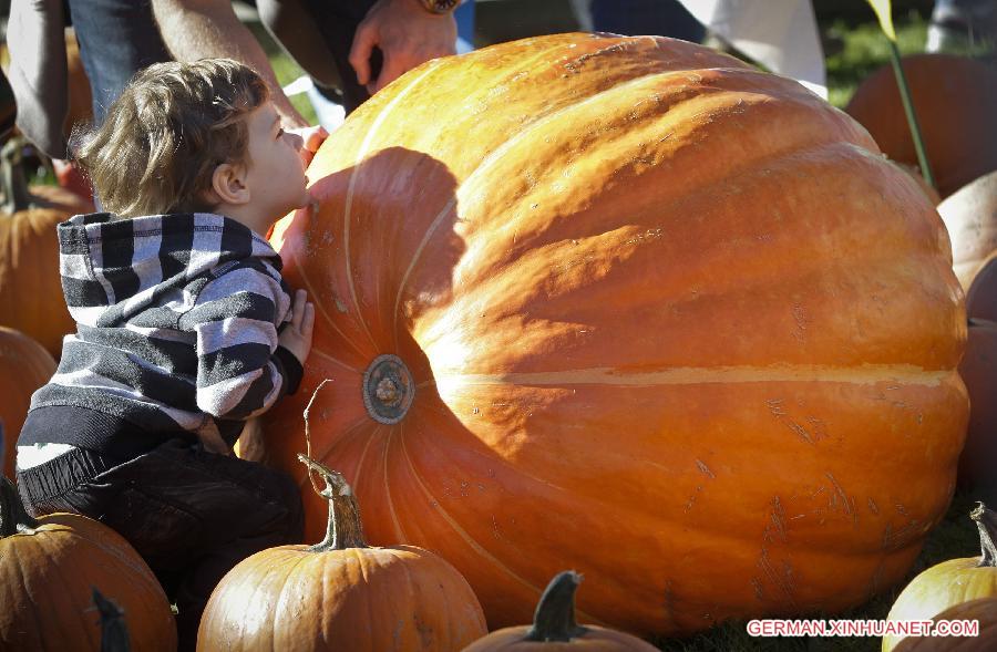 CANADA-VANCOUVER-PUMPKIN FESTIVAL