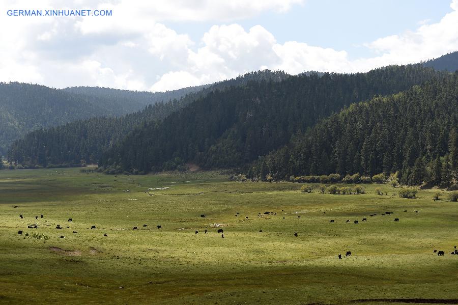 CHINA-YUNNAN-SHANGRI-LA-POTATSO NATIONAL PARK (CN)